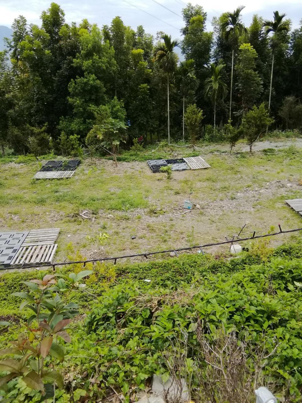 台東民宿 關山桃花心木民宿農場 Гуаньшань Экстерьер фото